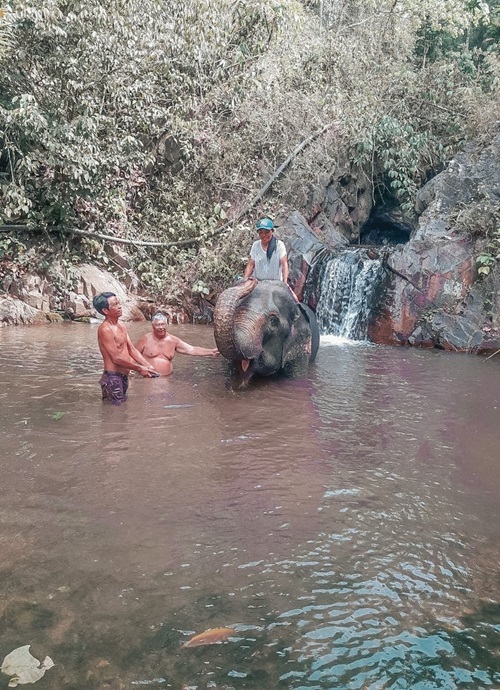 Bathing an elephant in a river