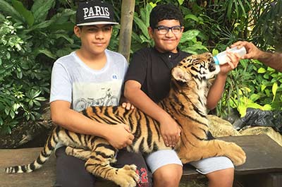 Two boys feeding a baby tiger